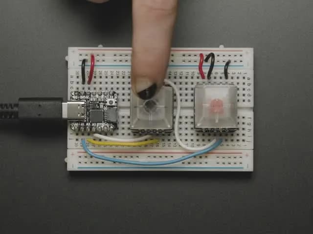 Розетка NeoKey для механических переключателей с ключом NeoPixel
