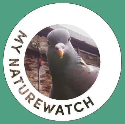 Моя камера для наблюдения за дикой природой Naturewatch
